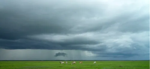 Météo de la semaine : assez perturbée !