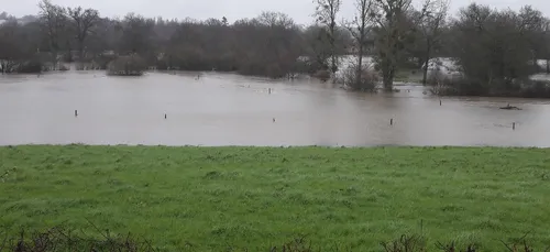 La sèvre nantaise en crue