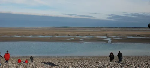 Environnement : la baie de Somme se vide de ses poissons