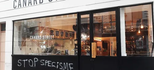 Lille : deux militants vegans jugés aujourd'hui pour dégradations...