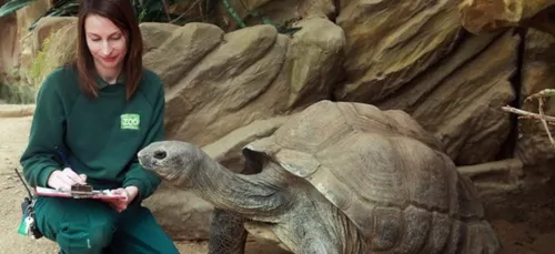 Bucquoy (62) : afflux de candidatures pour une formation de...