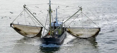 La pêche électrique interdite en Europe dès 2021