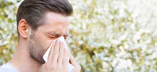 Les allergies aux pollens sont déjà de retour dans les Hauts-de-France
