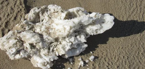 Pollution : de la paraffine s'échoue sur les plages du littoral