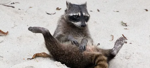 Pendant les vacances, des entrées à petit prix au zoo de Fort-Mardyck