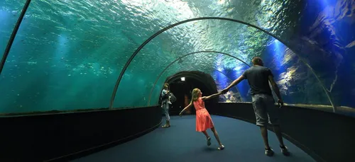 Nausicaá : entrée gratuite en mars pour les enfants de signe...