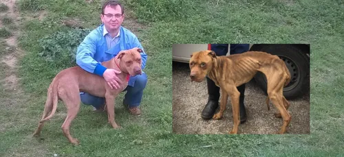 Le propriétaire de Mowgli devant les juges ce mercredi