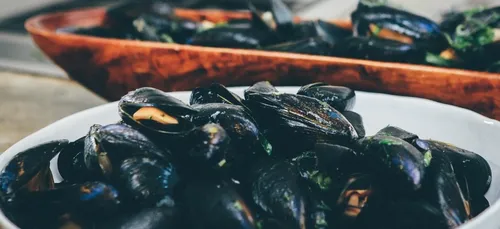 Des moules potentiellement contaminées à une dangereuse toxine