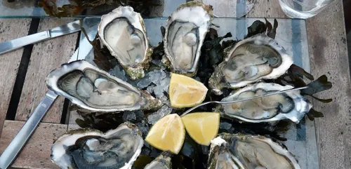 Rappel : des huîtres contaminées par la salmonelle et vendues chez...
