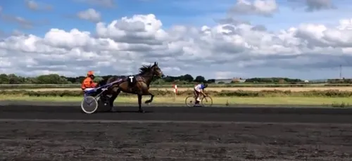 Saint-Omer : à l'hippodrome, une course entre un cycliste et un...