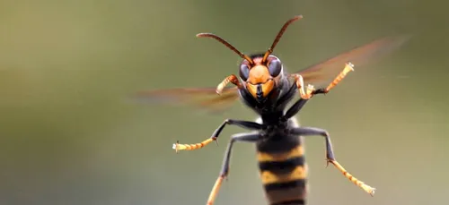 Nord : La préfecture met en place un nouveau dispositif de...
