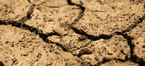 Le Pas-de-Calais placé en alerte sécheresse