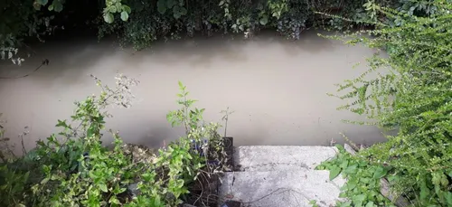 Nouvelle pollution en aval de l'usine Spontex de Beauvais ?