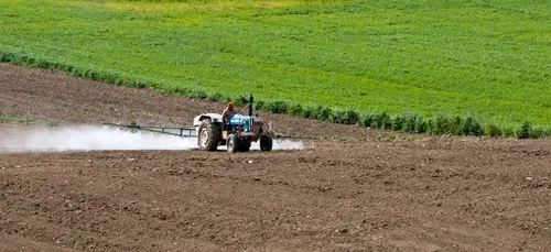 Lille et quatre autres villes interdisent l'usage des pesticides