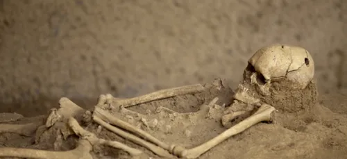 Condé-Folie (80) : des ossements humains découverts dans une...