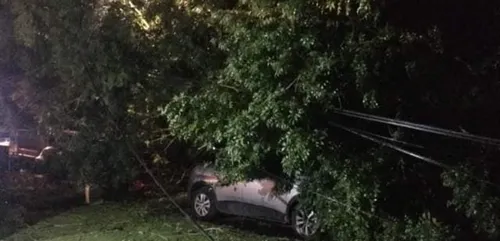 Les orages provoquent des dégâts dans les Hauts-de-France