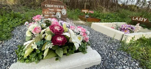 Nord : un cimetière insolite pour animaux