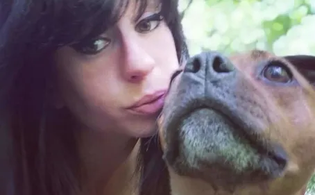 Aisne : une pétition lancée pour sauver Curtis, le chien d'Elisa