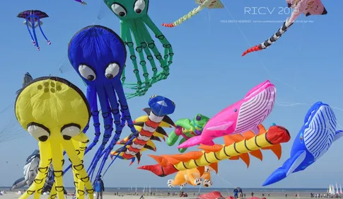 Berck-sur-Mer : Découvrez les dates des prochaines rencontres...