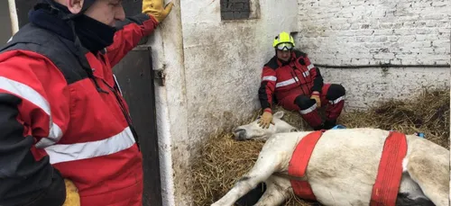 Pas-de-Calais : les pompiers à pied d'oeuvre pour tenter de sauver...