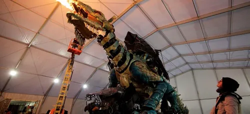 Balades à dos de Dragon à Calais : les réservations bientôt...