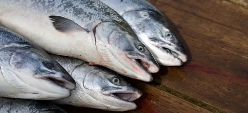 160 emplois annoncés à Boulogne-sur-Mer