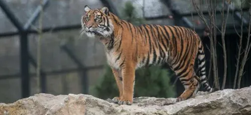 Le zoo d'Amiens rouvre ses portes ce samedi