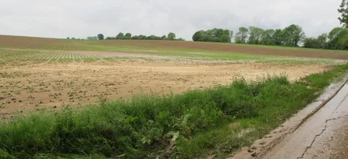 Nord : un porté disparu de 85 ans, retrouvé vivant dans un champ