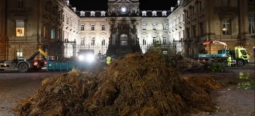Lille : du purin déversé par les agriculteurs devant la préfecture