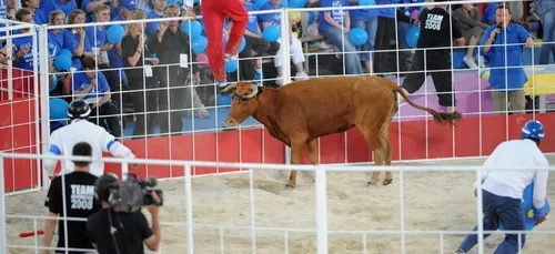 Intervilles : l'émission culte de retour en 2020, sans vachettes