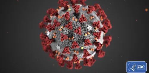 Coronavirus : le patient hospitalisé à Lille a côtoyé l'un des...