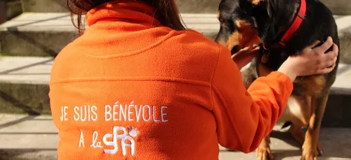 Aisne : des dizaines d'animaux retrouvés enfermés dans des caisses...