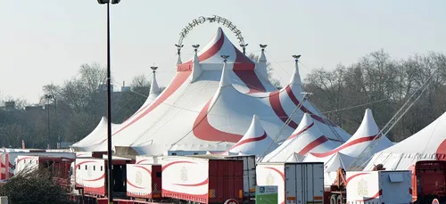 A Lille, le cirque Gruss renonce à ses numéros d'animaux sauvages