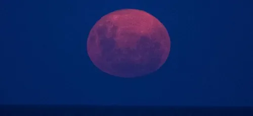 "Super Lune rose" : la plus grosse pleine Lune de l'année se...