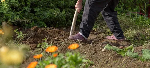 Confinement : l'Aisne rouvre l'accès aux parcs et jardins ... sous...