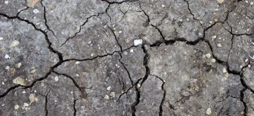 Sécheresse : fin de la vigilance dans le Nord mais la situation...