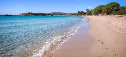 Vacances : Emmanuel Macron annonce un "été un peu particulier"