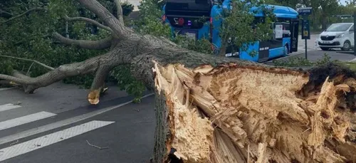 Rafales de vent : des dégâts dans le Pas-de-Calais