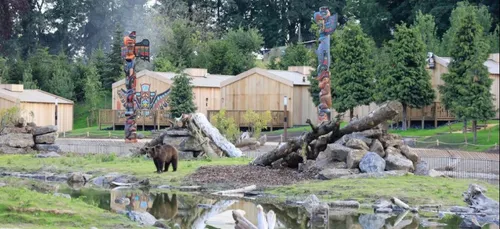 Pairi Daiza rouvre progressivement, patience pour les Français