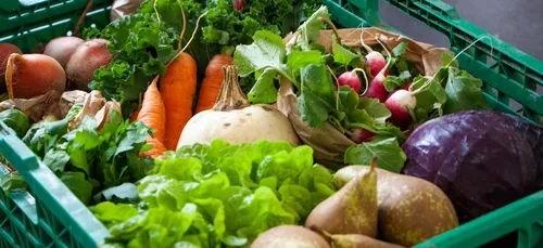 Lille : des paniers de légumes bien garnis et pas trop chers à...