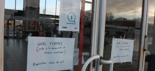 La gare SNCF de Cambrai fermée après la découverte de frelons...