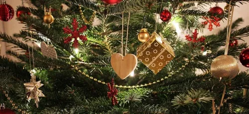 Côte d’Opale : deux étudiants boulonnais vous proposent la...