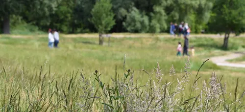 Pour ses espaces naturels, la Métropole européenne de Lille recrute...