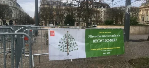 Lille : une seconde vie pour votre sapin de Noël