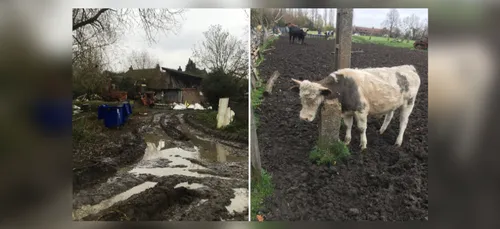 Wambrechies : la ferme des frères P. est-elle "la ferme de...