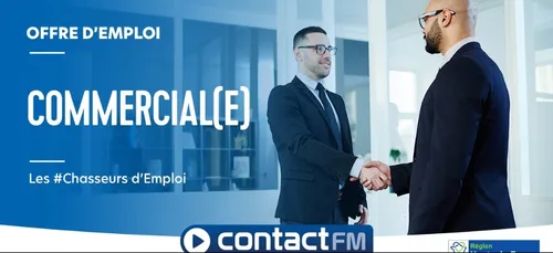 Offre d'emploi: Commercial itinérant