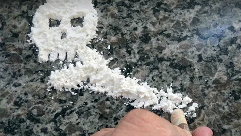 Ouverture du procès de la saisie record de cocaïne sur un cargo à...