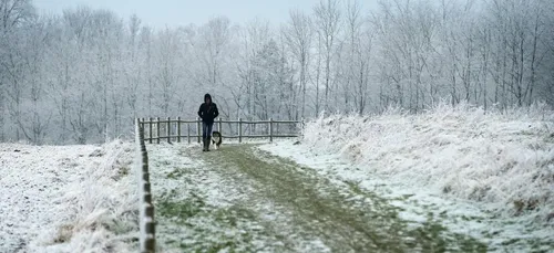 Le Nord et le Pas-de-Calais activent le plan "grand froid"