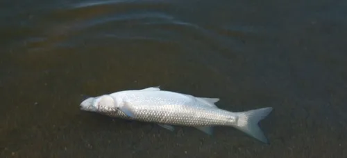 "Wonder Glam Paris" condamnée pour la pollution du Parc de Géresme...