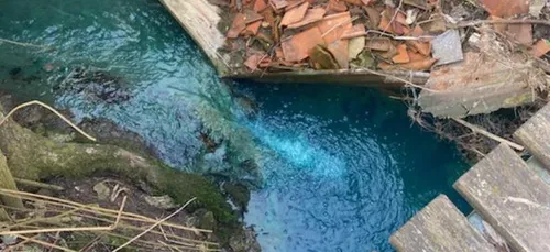 Pollution de la Lys dans l'Audomarois